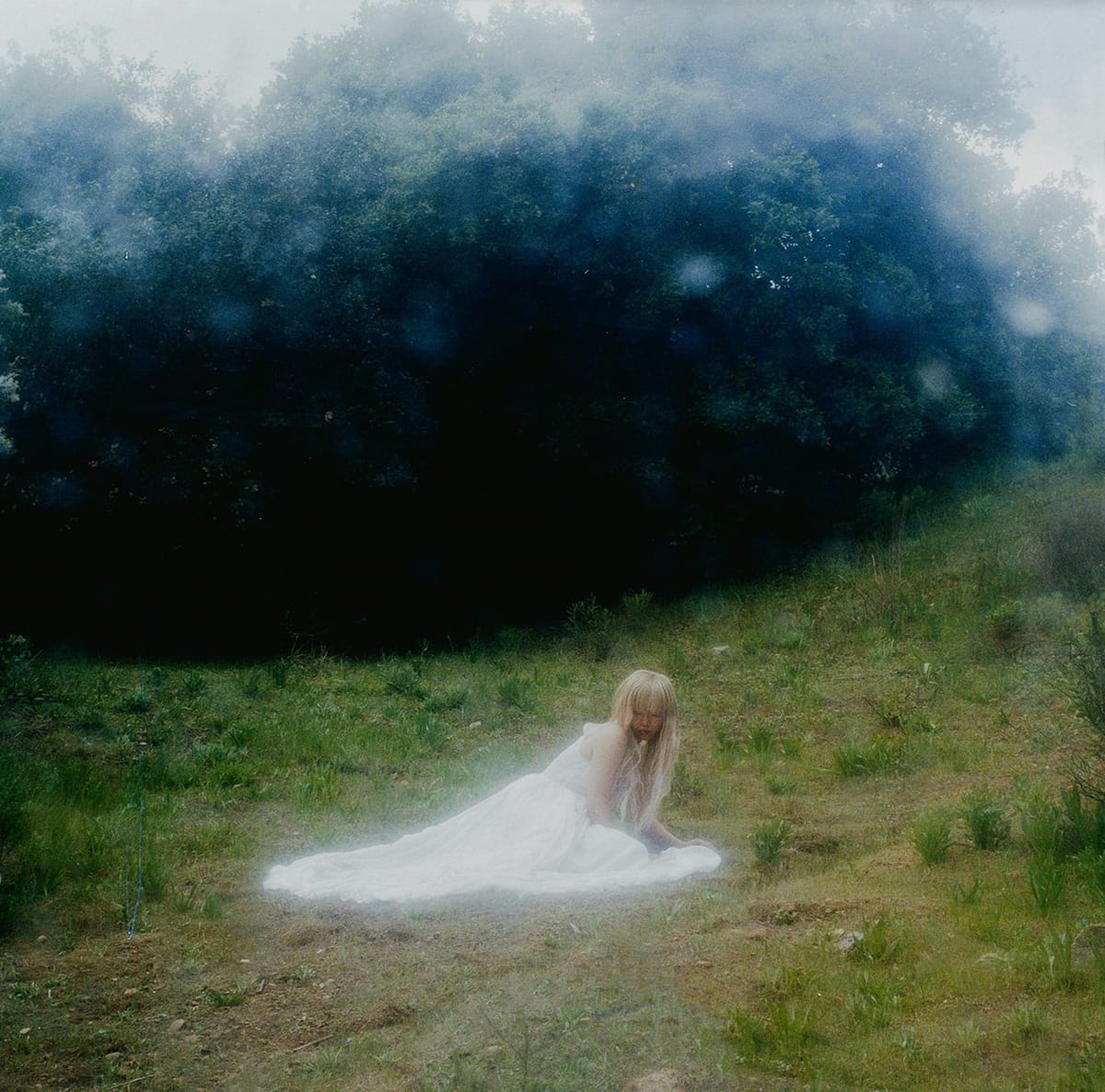 Wisp - If Not Winter