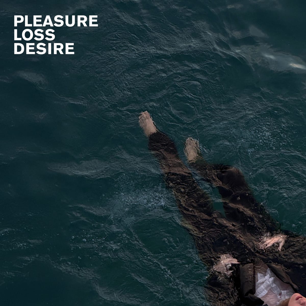 Talk to Her - Pleasure Loss Desire