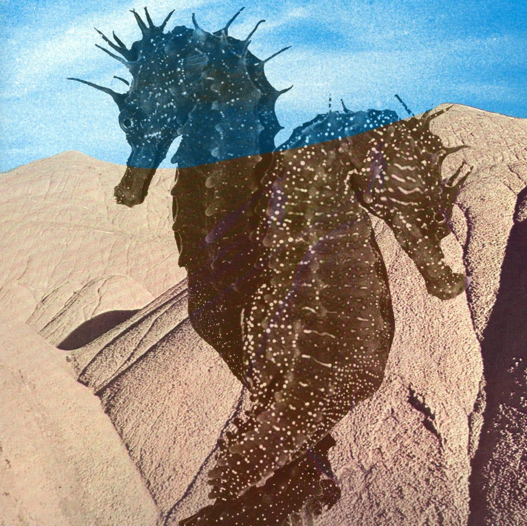 Weekend Martyr – Cruel House