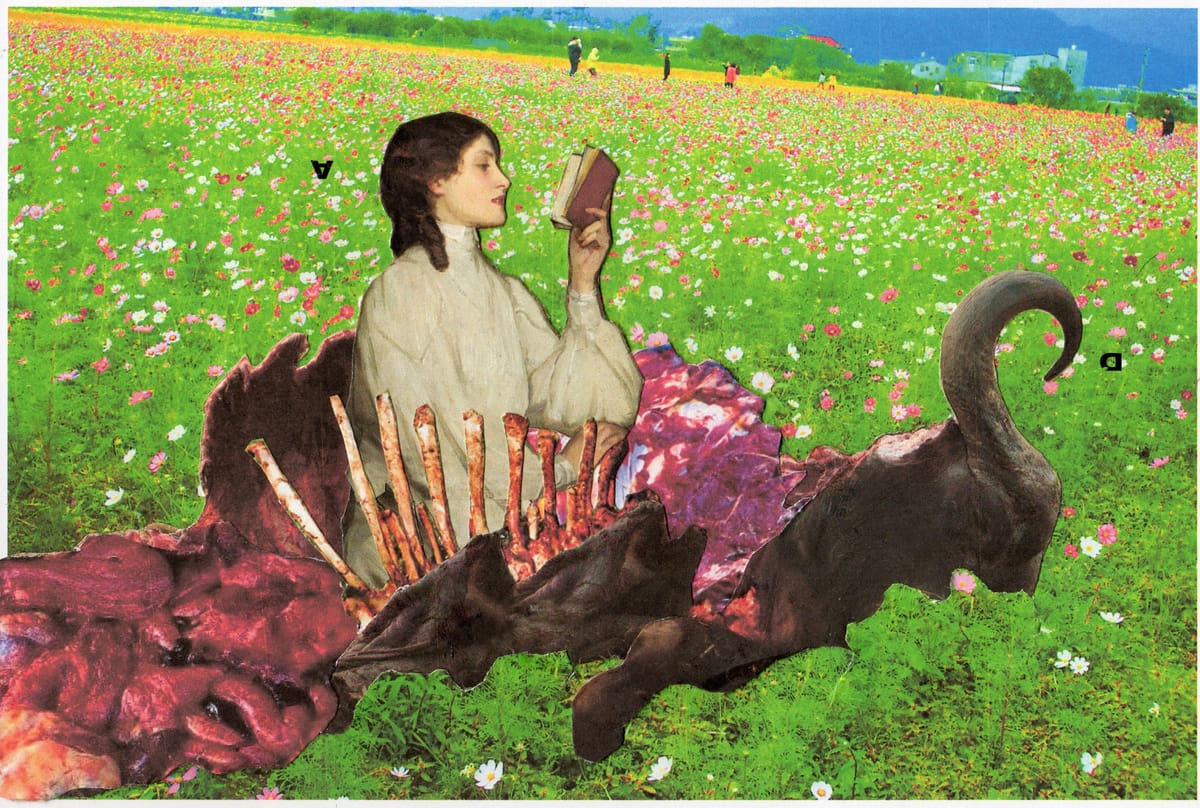 Archeologia del perturbante: i collage visionari di Pasquale De Sensi