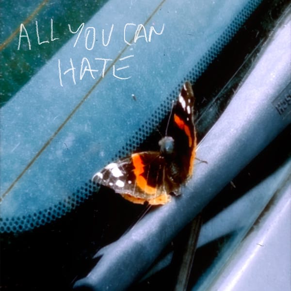 Nothing Lasts Forever - All You Can Hate