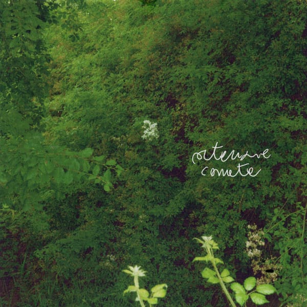Merli Armisa - Ortensie Comete