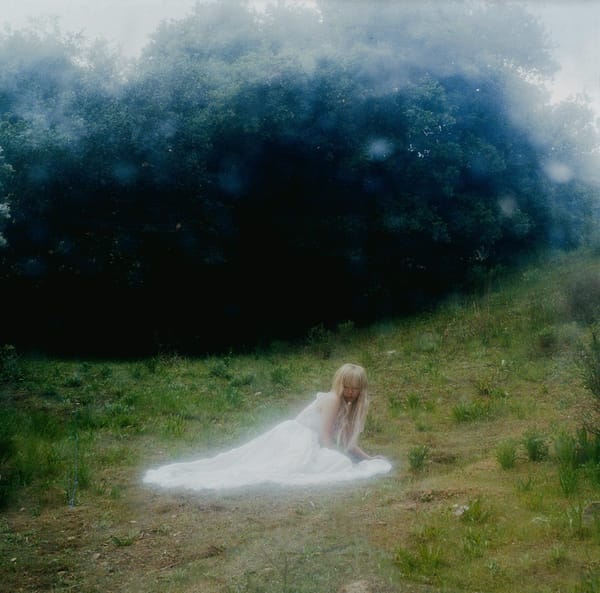 Wisp - If Not Winter