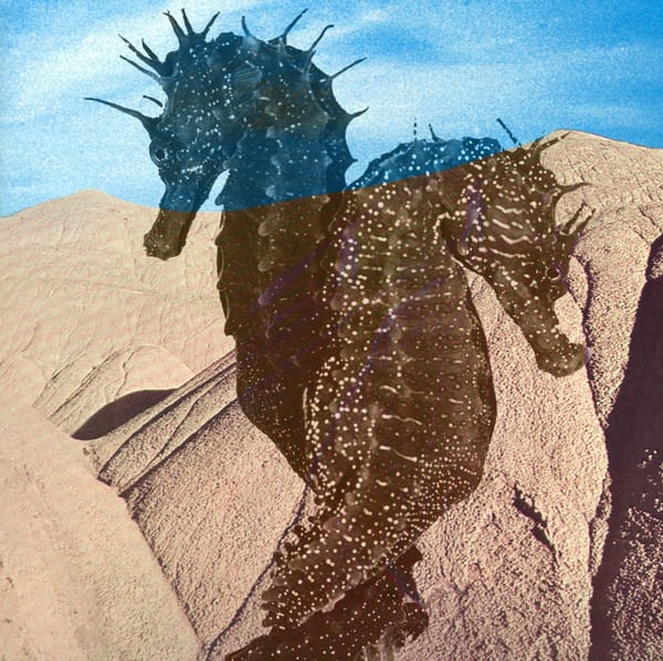 Weekend Martyr – Cruel House