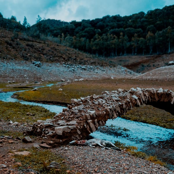 Ripensare marzo in 4 dischi