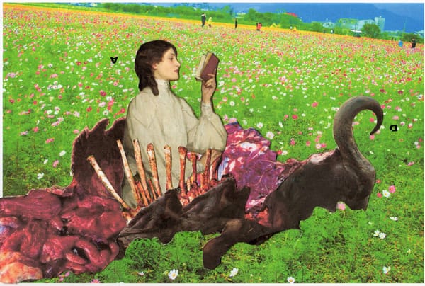 Archeologia del perturbante: i collage visionari di Pasquale De Sensi