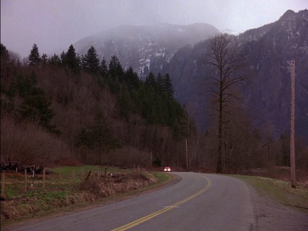 Il buio oltre la siepe di Twin Peaks: Lynch, la provincia americana e la TV d'autore